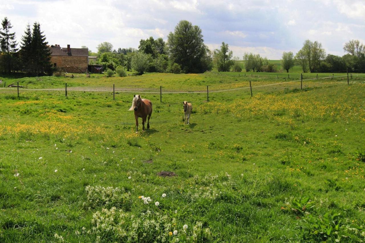 Vacation Home, Zahrensdorf Buitenkant foto